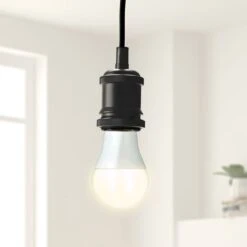 Set Of 4 Status 9W ES GLS Pearl Bulbs