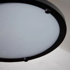 Barton Bathroom Flush Ceiling Light -Home Lighting Store 30789833 alt02