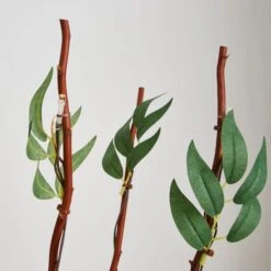 Leaf Twig Lights -Home Lighting Store 30798659 alt02