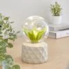 Faux Terrarium Geometric Battery Table Lamp -Home Lighting Store 30833940