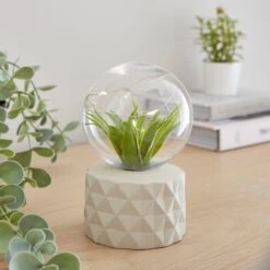Faux Terrarium Geometric Battery Table Lamp -Home Lighting Store 30833940 alt01