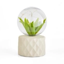 Faux Terrarium Geometric Battery Table Lamp -Home Lighting Store 30833940 alt05