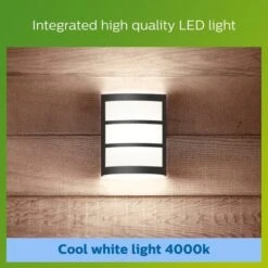 Philips Python Integrated LED Outdoor Wall Light, Cool White -Home Lighting Store 30838313 alt04