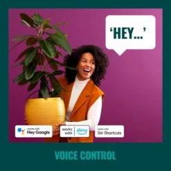 WiZ 48ft Smart Ambient Outdoor Festoon Lights -Home Lighting Store 30838383 alt05