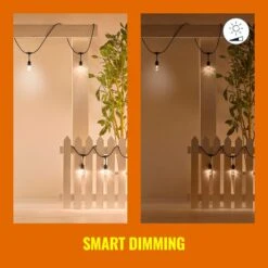 WiZ 48ft Smart Ambient Outdoor Festoon Lights -Home Lighting Store 30838383 alt06