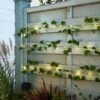 Ivy Garland 50 LED Indoor Outdoor String Lights -Home Lighting Store 30864592