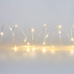 Warm White 20 LED String Lights