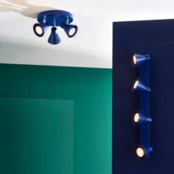 Elements Briggs 4 Light Adjustable Spotlight -Home Lighting Store 30894865 alt09