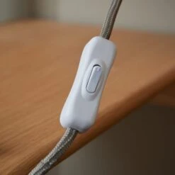 Miley Industrial Plug In Adjustable Clip On Desk Light -Home Lighting Store 30921753 alt04