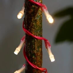 Low Voltage 100 LED String Lights -Home Lighting Store 30925204 alt01