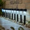 Pack Of 10 Solar Plastic Stake Lights