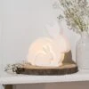 Eggs-traordinary Mum & Baby Bunny LED Light 1 Eggs-traordinary Mum & Baby Bunny LED Light -Home Lighting Store 30984742